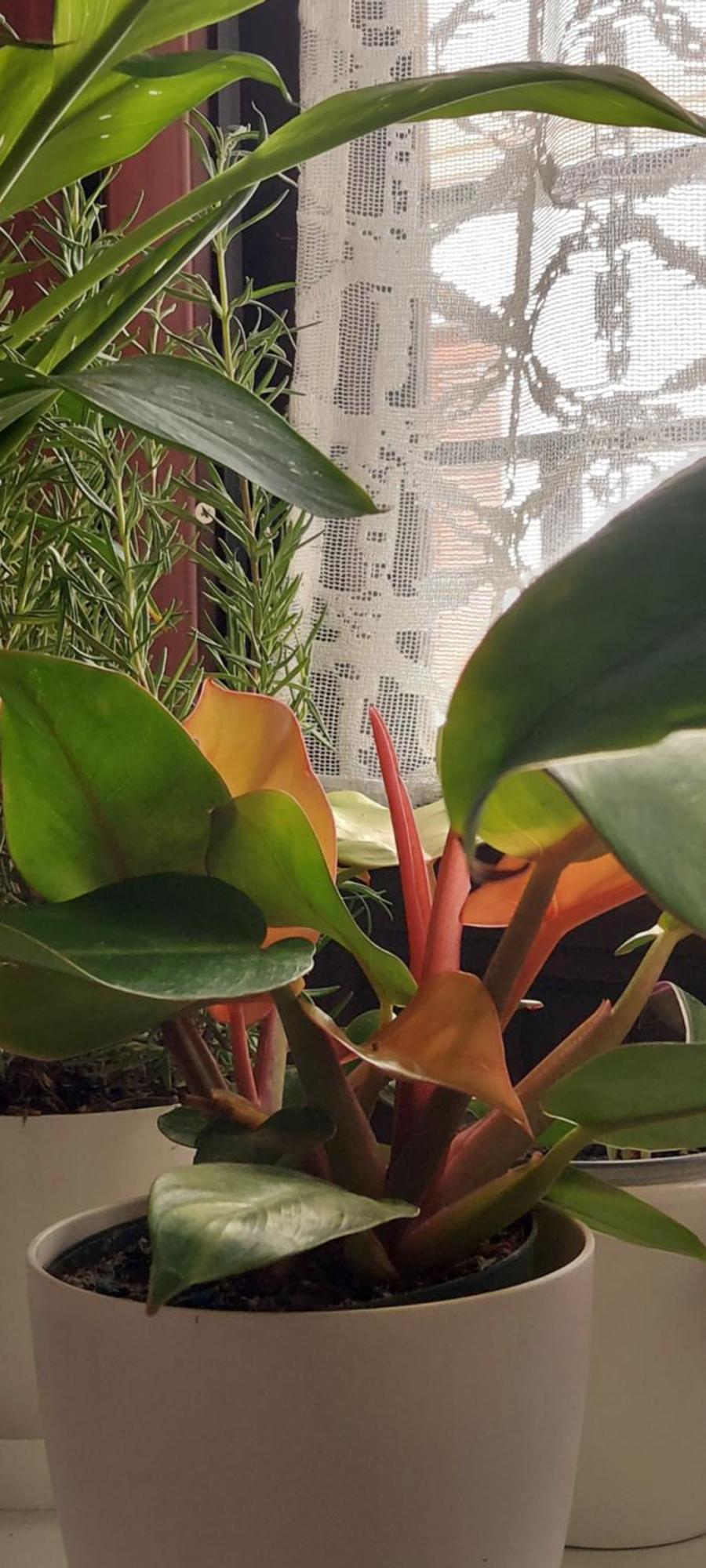 Apartamentos Los Descalzos Ángel Ronda Esterno foto