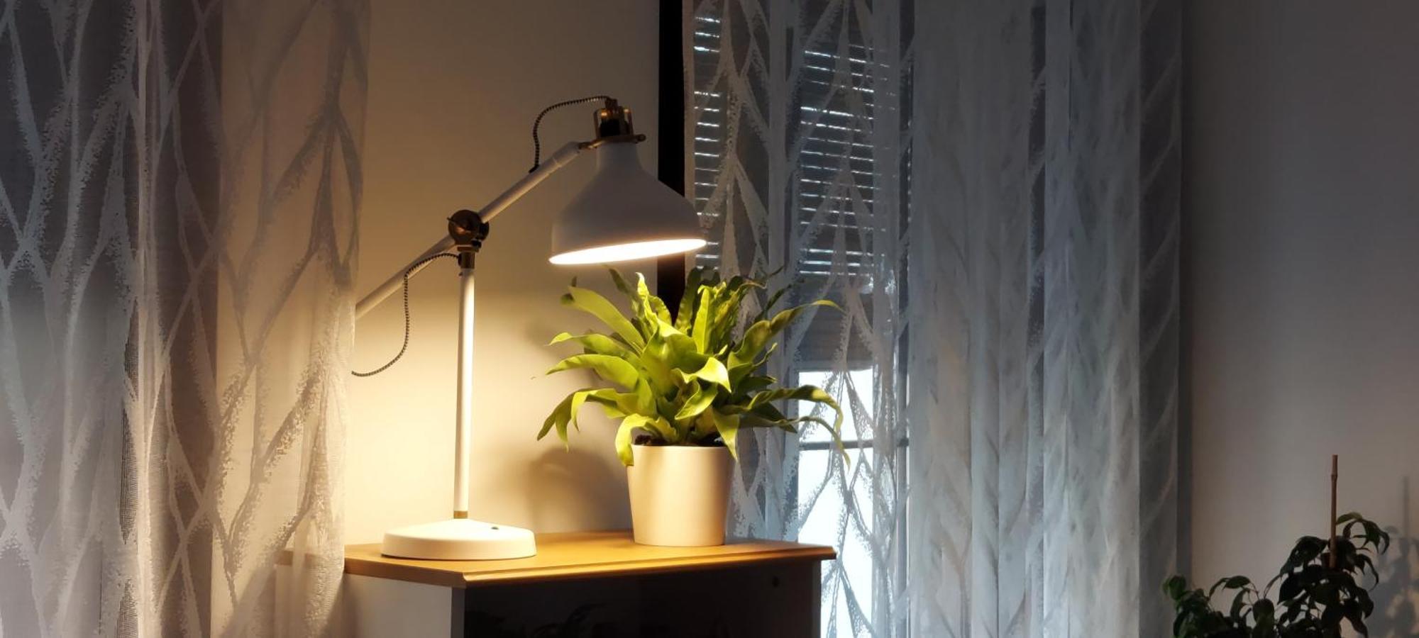 Apartamentos Los Descalzos Ángel Ronda Esterno foto