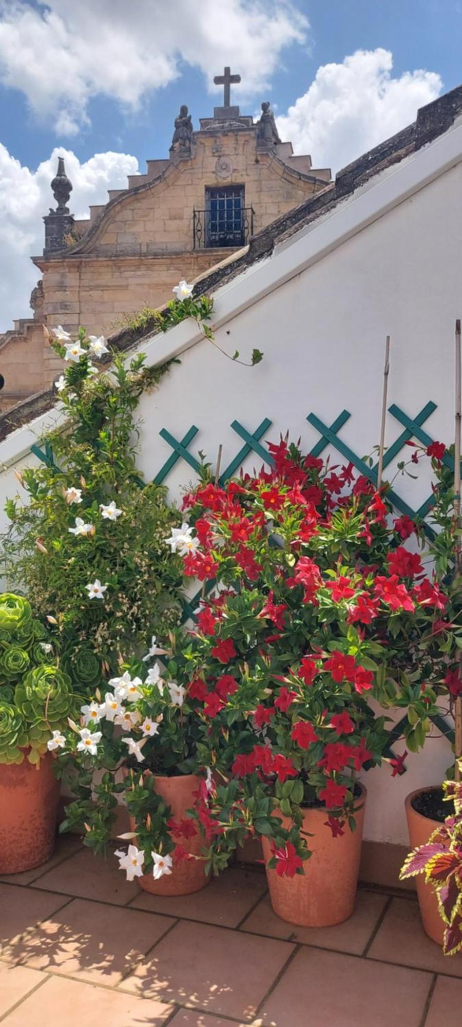 Apartamentos Los Descalzos Ángel Ronda Esterno foto