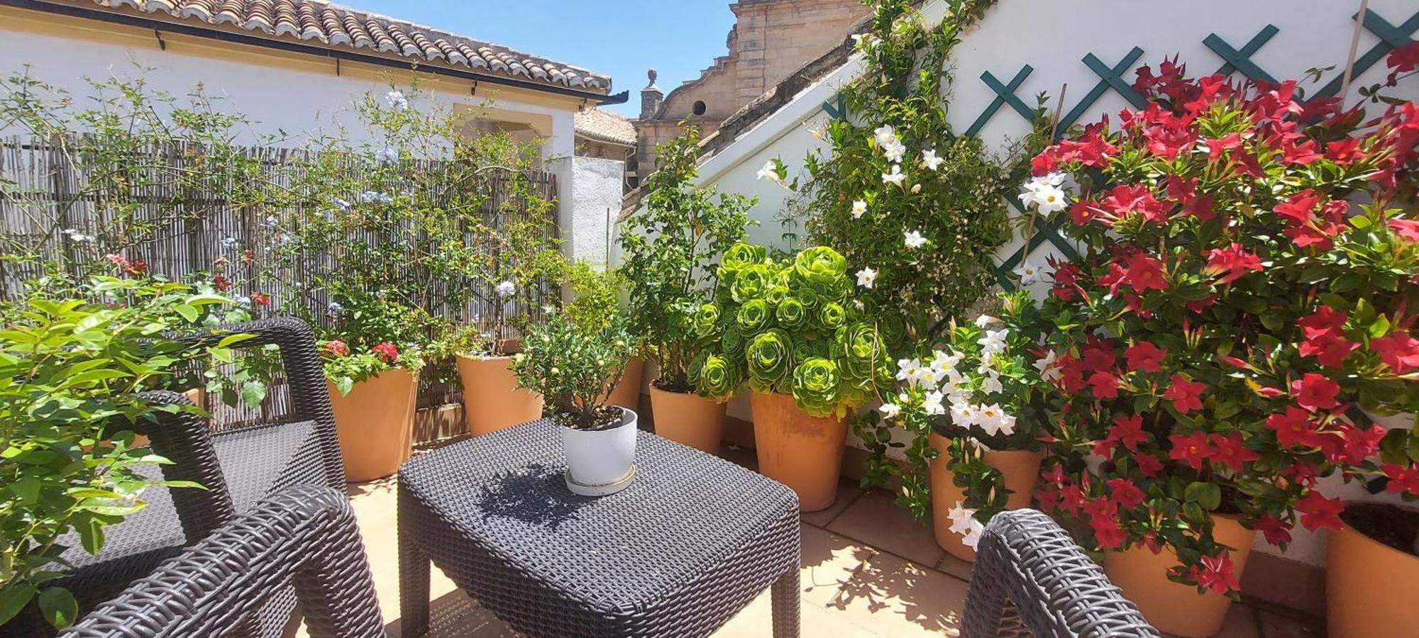 Apartamentos Los Descalzos Ángel Ronda Esterno foto