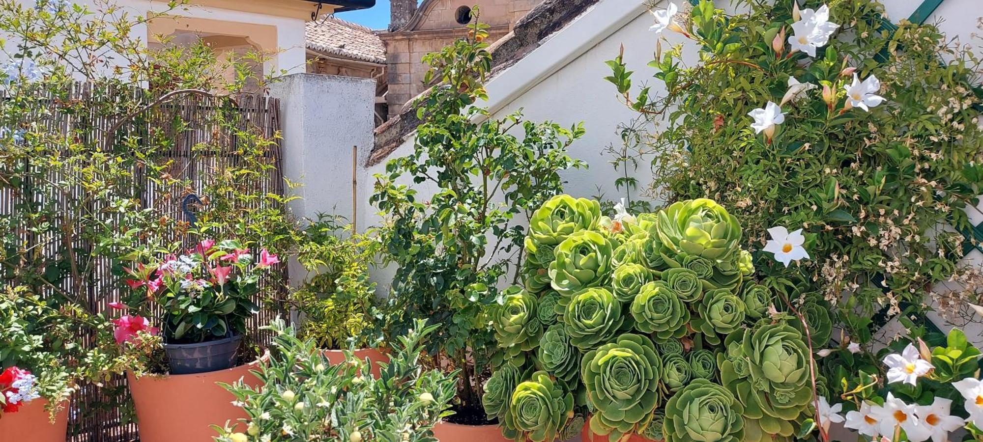 Apartamentos Los Descalzos Ángel Ronda Esterno foto