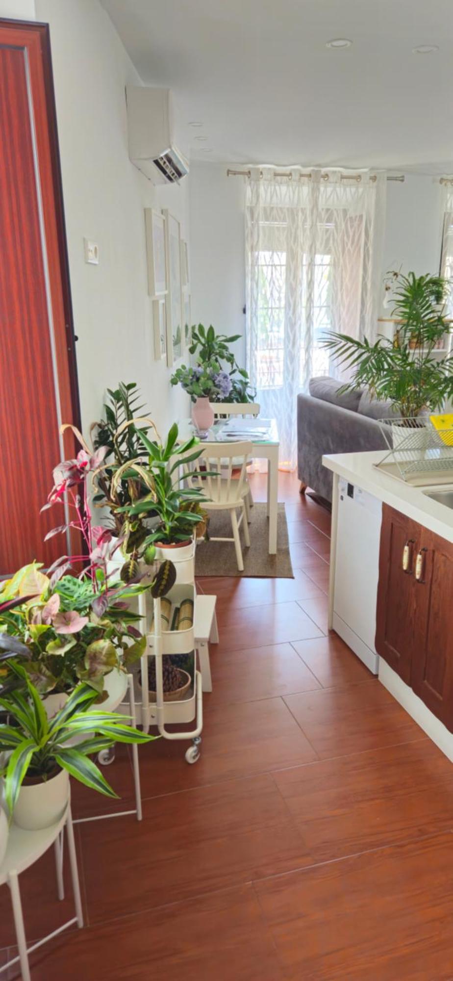 Apartamentos Los Descalzos Ángel Ronda Esterno foto