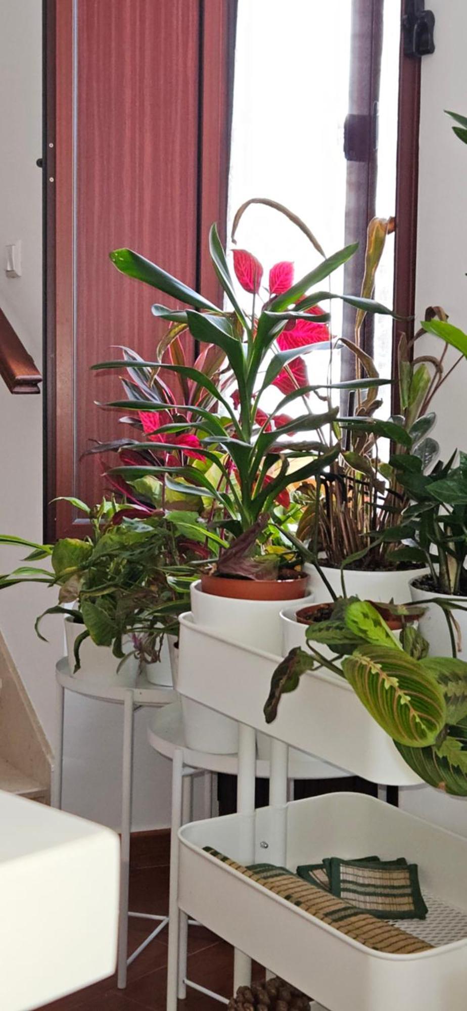 Apartamentos Los Descalzos Ángel Ronda Esterno foto