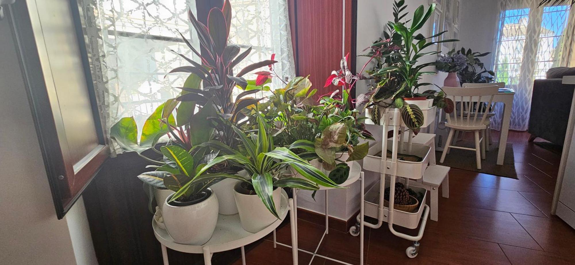 Apartamentos Los Descalzos Ángel Ronda Esterno foto