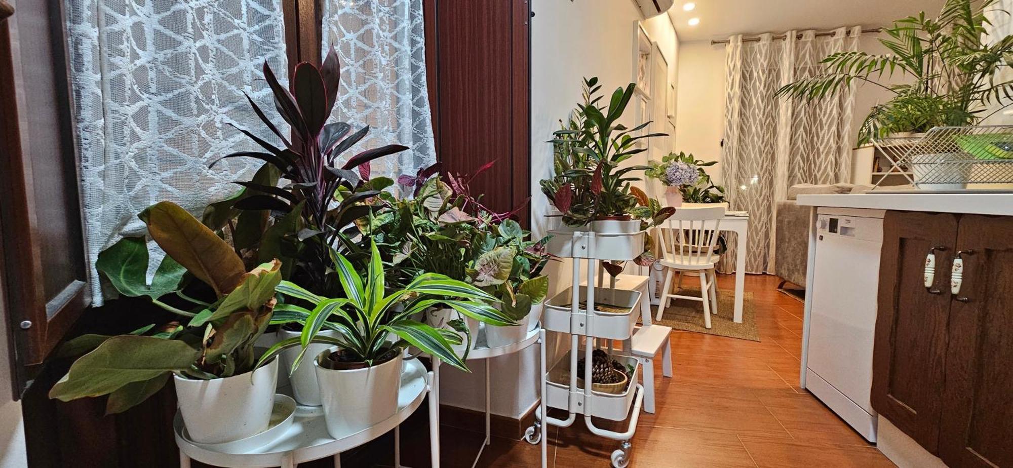 Apartamentos Los Descalzos Ángel Ronda Esterno foto