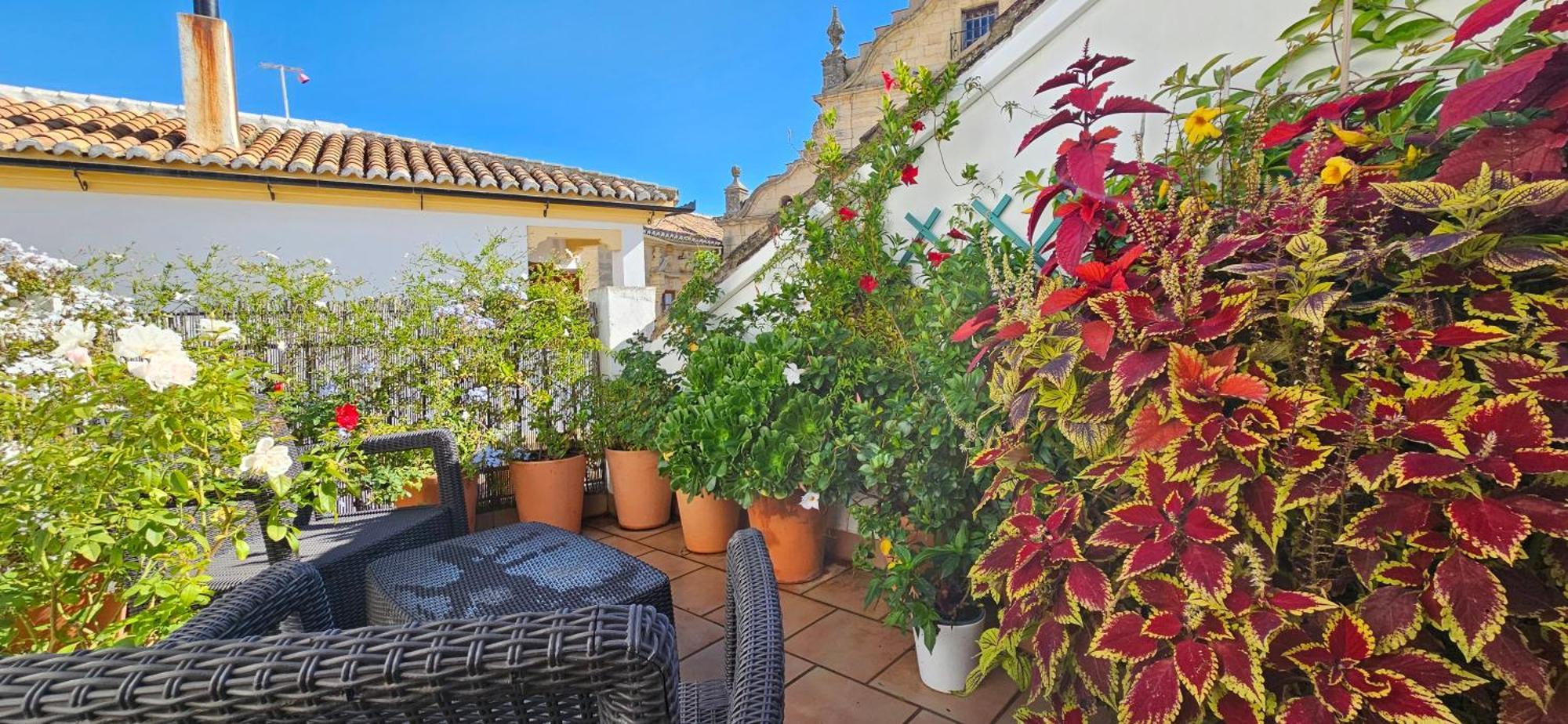 Apartamentos Los Descalzos Ángel Ronda Esterno foto